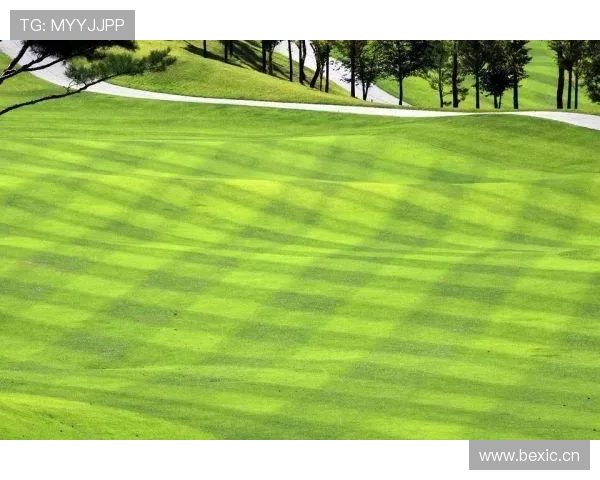 人工草场影响比赛判罚吗？规则如何界定场地合规性