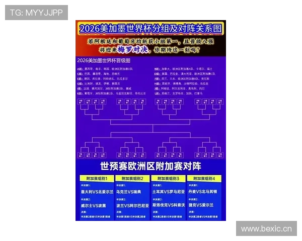 世界杯A组捷克晋级概率最新公布