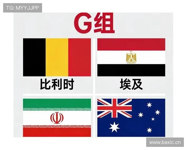 世界杯G组胜率与出线率统计